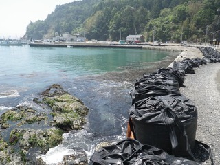 20140528_018牡鹿半島折浜