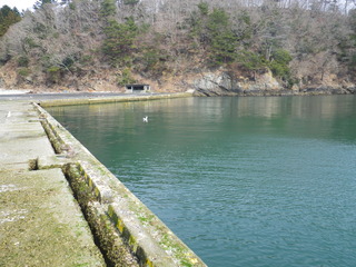 20120328_044牡鹿半島福貴浦