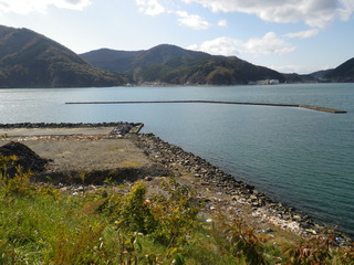 20111116_006女川石浜