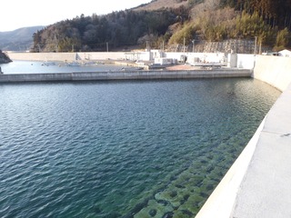 20220304_014雄勝小島