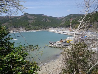 20130425_004牡鹿半島桃浦