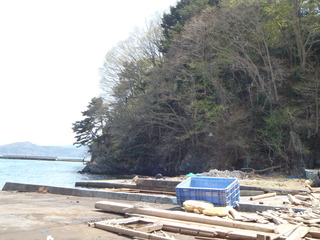 20110504_046女川竹浦