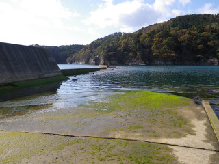 20111116_016女川竹浦