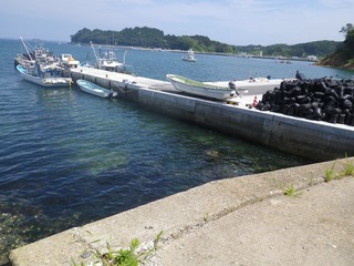 20130821_007旧志津川町南部水戸辺