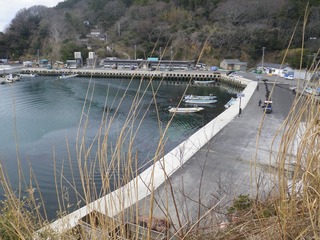 20150408_052牡鹿半島狐崎