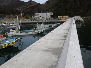 20130227_032女川指ヶ浜