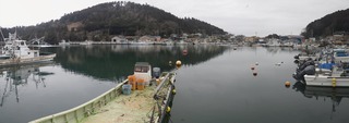 20150226_052牡鹿半島西部小淵_stitch