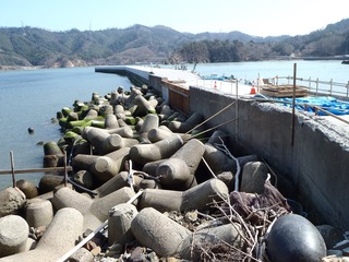 20130404_016女川大石原