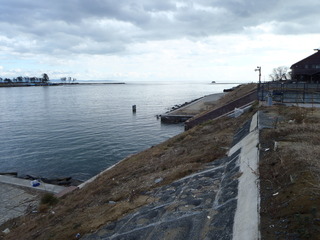 20111210_049鳴瀬川河口