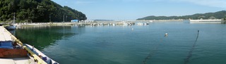 20160712_025女川横浦_stitch