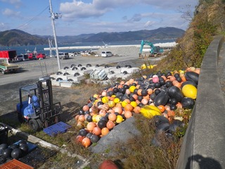 20141119_005女川町塚浜