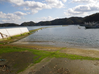 20111116_023女川尾浦