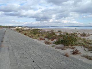 20111210_044野蒜海水浴場