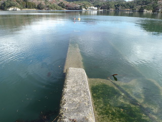 20111210_033宮戸島里浜