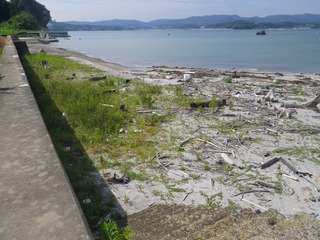 20150702_028旧志津川町南部戸倉