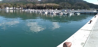 20131114_028牡鹿半島給分浜_stitch