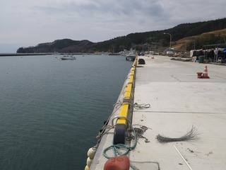 20150408_011牡鹿半島荻浜