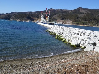 20140115_033牡鹿半島桃浦