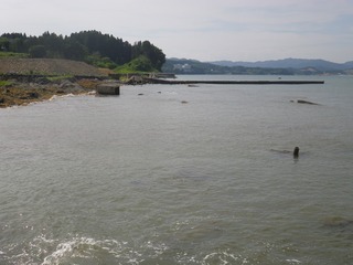 20150702_024旧志津川町南部戸倉