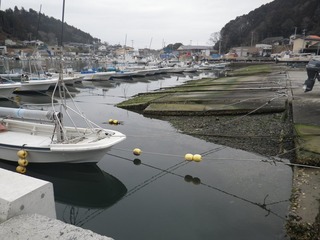 20150226_051牡鹿半島西部小淵