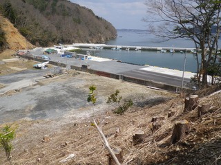 20140423_025女川大石原