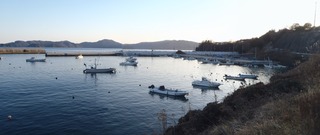 20210125_042十三浜小室_stitch