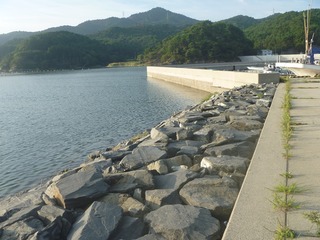 202250913_015小積浜