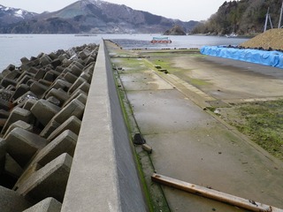 20130227_006女川桐ヶ崎