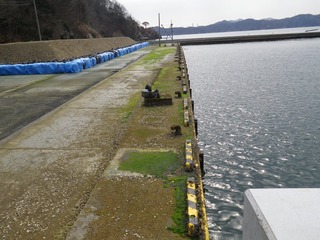 20130227_005女川桐ヶ崎