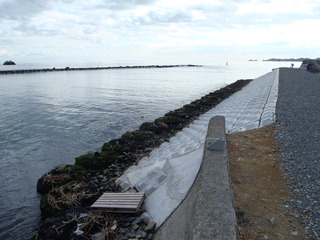 20111210_045鳴瀬川河口