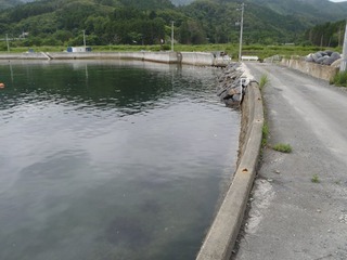 20140709_017女川御前浜