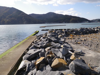 20111116_003女川石浜