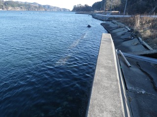 20140129_051雄勝呉壺