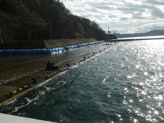 20121205_009女川桐ヶ崎