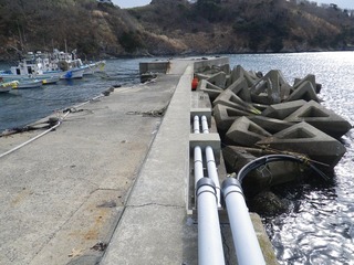 20130220_076牡鹿半島狐崎