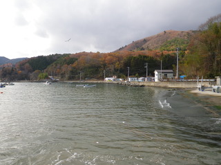 20121205_041女川指ヶ浜