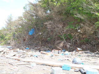 20110608_049牡鹿半島小積浜