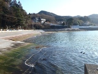 20210125_015旧志津川町南部津の宮