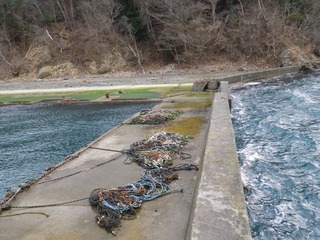 20130220_061牡鹿半島小積浜