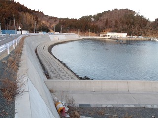 20230303_008女川指ヶ浜