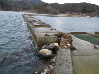 20130220_060牡鹿半島小積浜