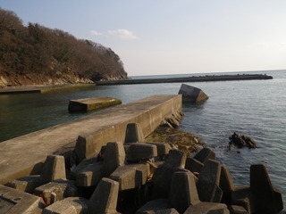 20120328_089牡鹿半島蛤浜