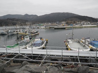 20150226_064牡鹿半島西部表浜