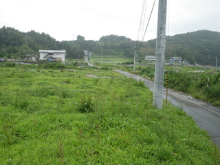 20120725_035旧志津川町南部滝浜