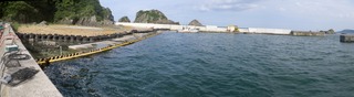 20150702_005十三浜大指_stitch