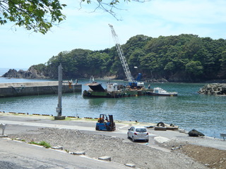 20110706_030十三浜小指