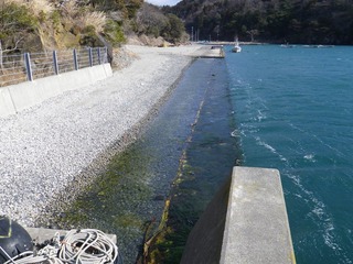 20130220_013牡鹿半島小竹