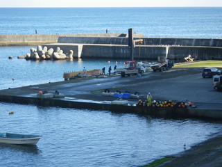 20111109_029十三浜小滝