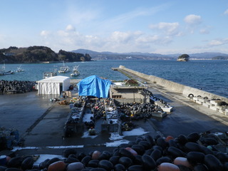 20120111_007旧志津川町南部津ノ宮