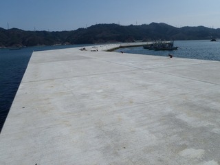 20130404_009女川横浦